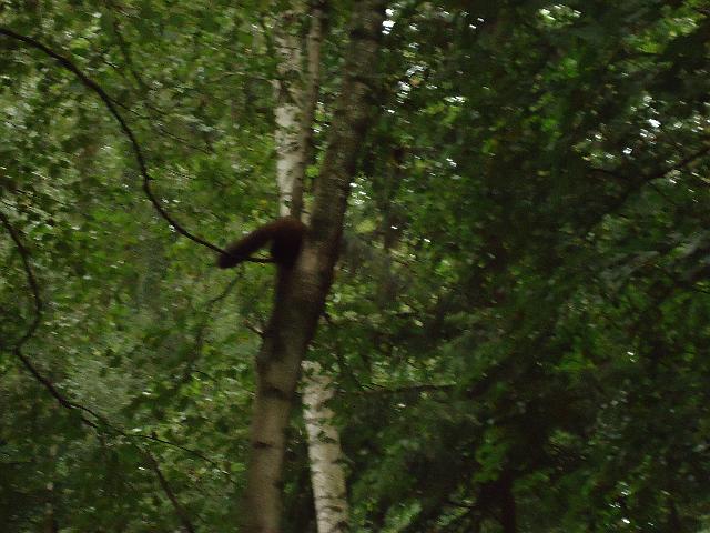 Damenfahrt Otterzentrum 028.jpg